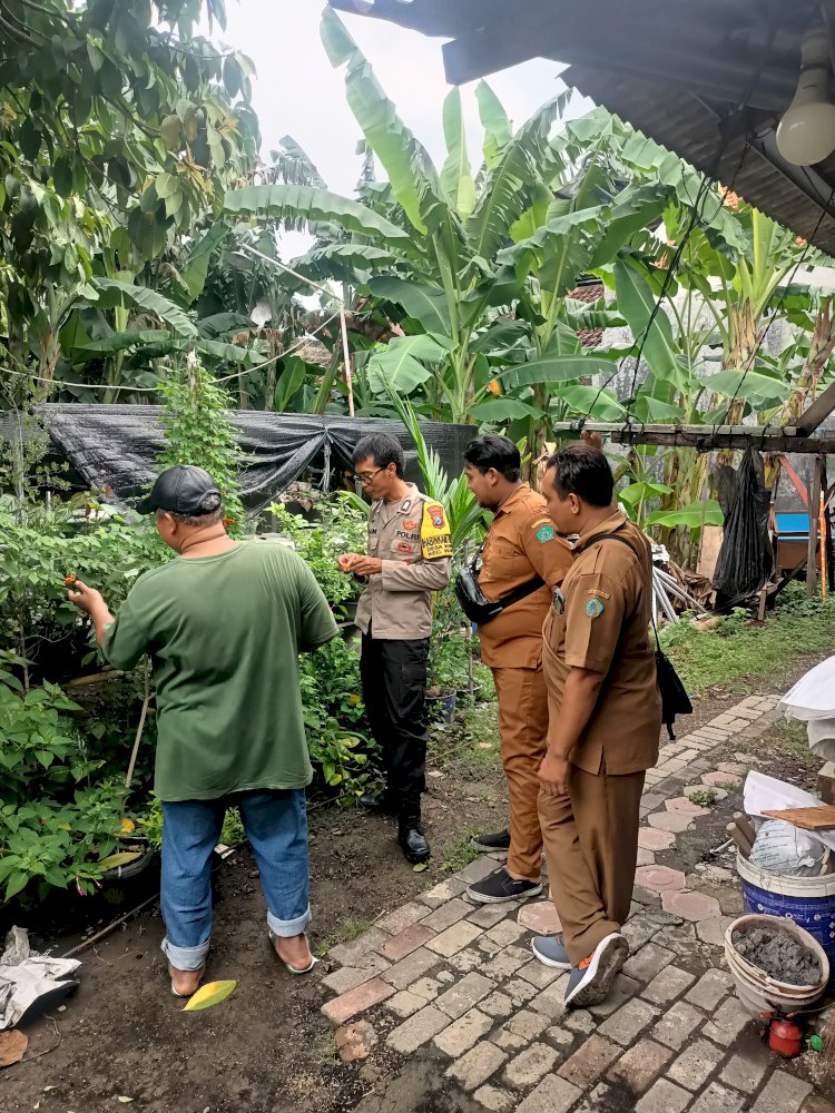 Bhabinkamtibmas Waru Tinjau Tanaman TOGA, Dukung Ketahanan Pangan Nasional
